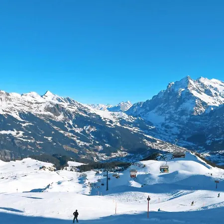 Doris-1 By Interhome Apartment Grindelwald