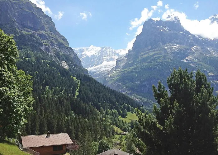 Appartamento Doris-1 By Interhome Grindelwald