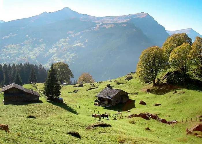 Apartament Doris-1 By Interhome *