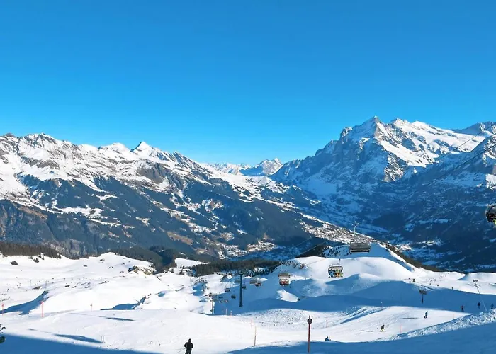 Doris-1 By Interhome Apartament Grindelwald